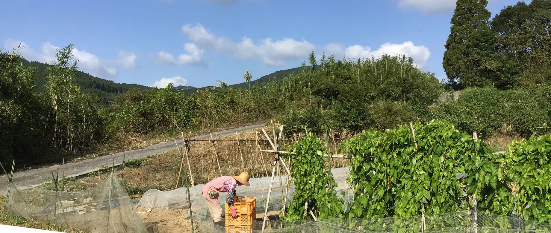 ひとり手仕事