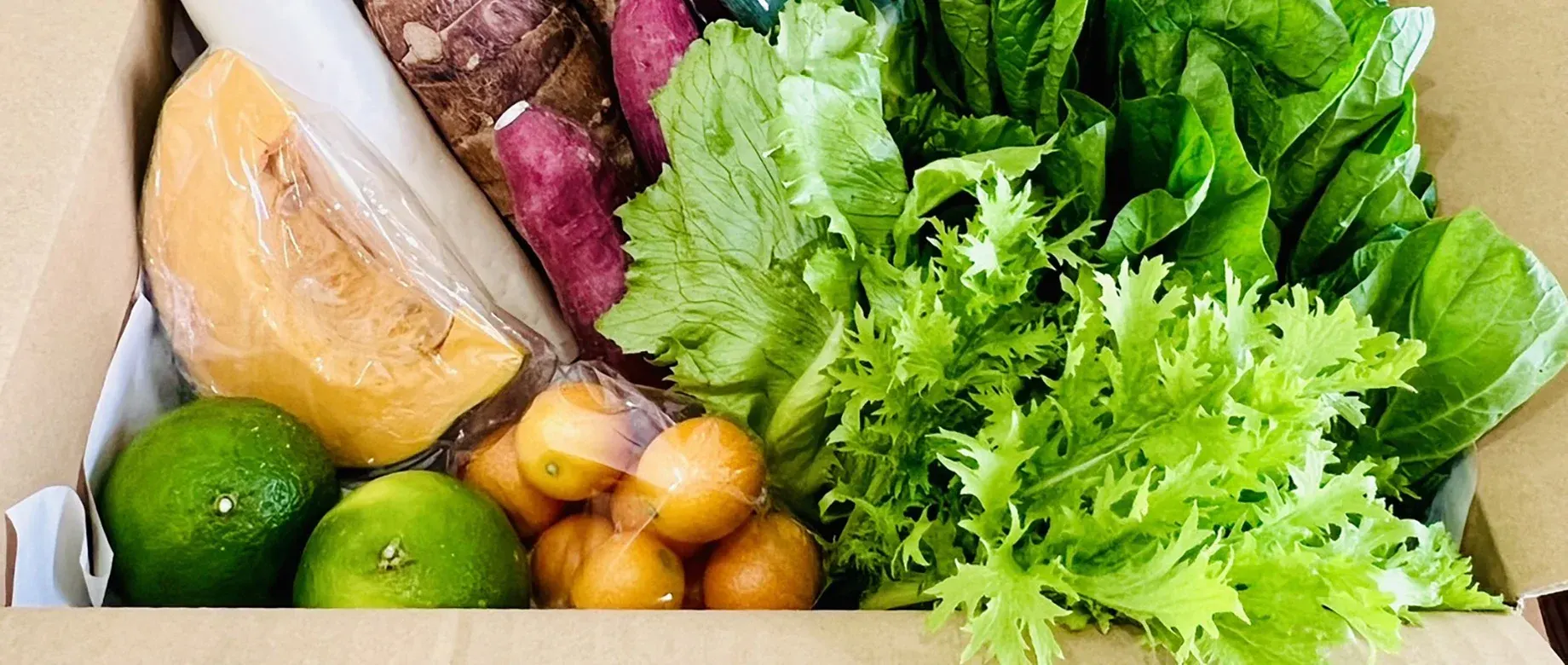 vegetableふぁ～む堀口の野菜 6