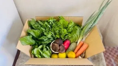 vegetableふぁ～む堀口の野菜 7