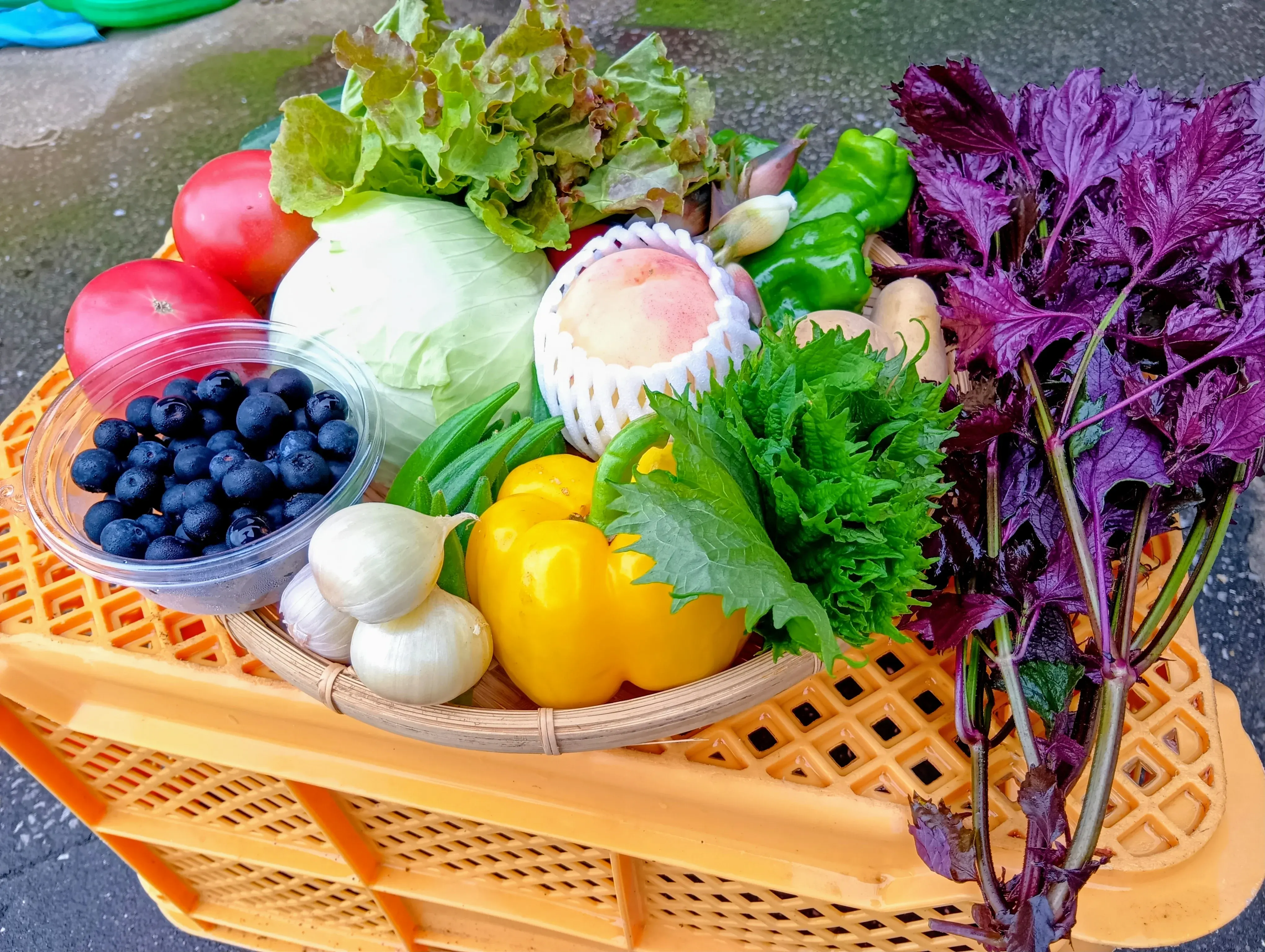 vegetableふぁ～む堀口の野菜 8