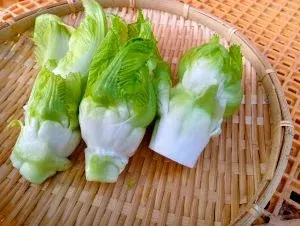 収穫