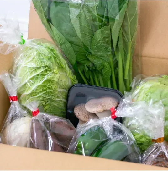 vegetableふぁ～む堀口の畑